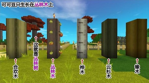 迷你世界可可豆怎么种[图1]