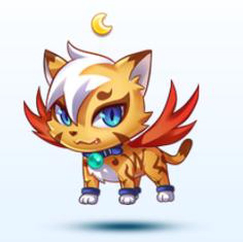 天天酷跑黄玉灵猫怎么得[图1]