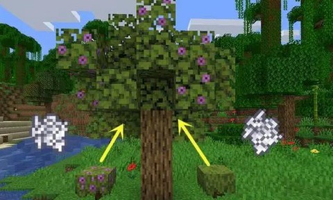 我的世界树怎么长大[图2]