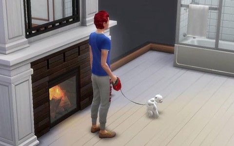 模拟人生4如何遛狗[图2]