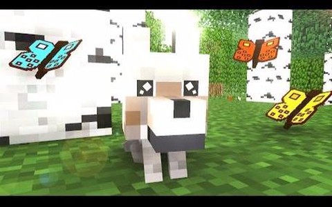 我的世界狼怎么繁殖[图2]