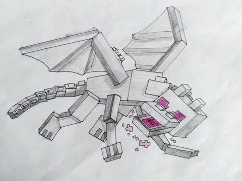 怎么画我的世界末影龙[图2]