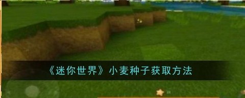 迷你世界什么种子好[图1]