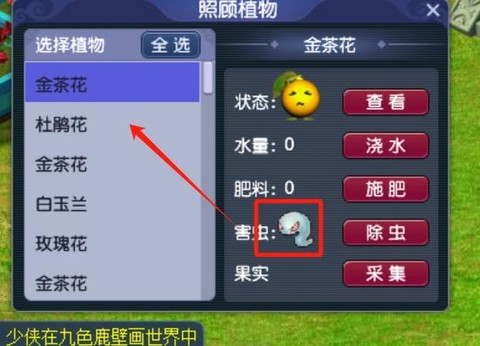 梦幻西游怎么获得种子[图2]