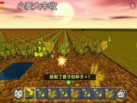 迷你世界麦子有什么用[图1]