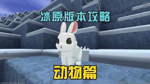 迷你世界怎么养兔子[图1]
